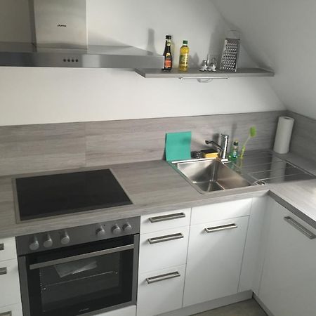 Elbsandstein Apartments Мейсен Номер фото